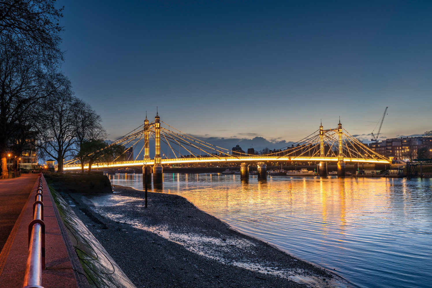 Albert Bridge | Illuminated River